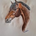 Kundenbild Set Aquarellfarben - 25 Stück
