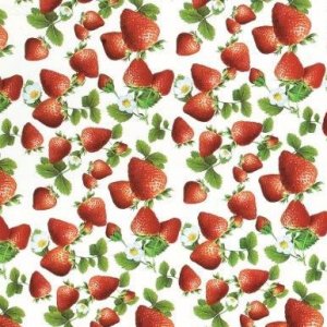 Plane Erdbeeren Plane Erdbeeren