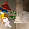 Kundenbild Farbiges Papier A4, 80 g, 100 Blatt