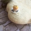 Kundenbild Modellier-Fimo Soft 57g - Weiß