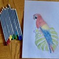 Kundenbild Aquarellstiftset Goldfaber Aqua - 24 Stifte