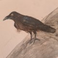 Kundenbild Aquarellstift Albrecht D�rer - 199 Schwarz
