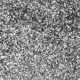 Bio-Glimmer - Silber - 10 g