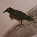 Kundenbild Aquarellstift Albrecht D�rer - 199 Schwarz