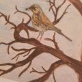 Kundenbild Aquarellstift Albrecht D�rer - 177 Walnussbraun