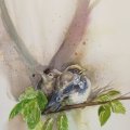 Kundenbild Aquarellblock, geklebte kaltgepresste Bögen, 300 g - A3