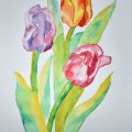 Kundenbild Das Aquarellset Shinhan Pro Aquarell 7,5ml 24tlg