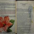 Kundenbild Synthetisches Pinselset W&N Foundation Acrylic - Nr.1