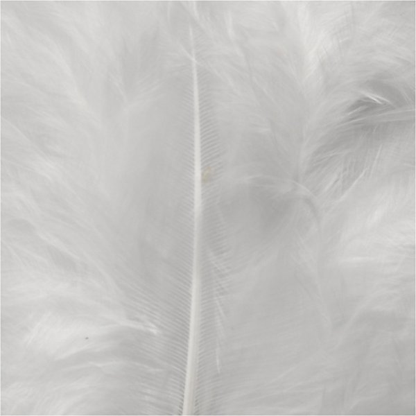 Daunen - wei - 50 g