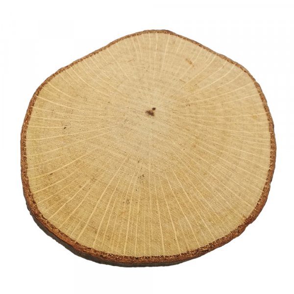 Unbehandeltes Holzbrett - 10er-Pack