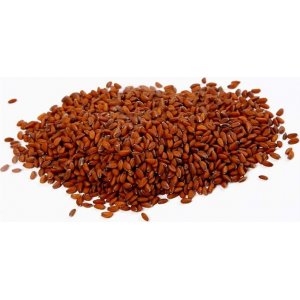 Kressesamen - 30 g Kressesamen - 30 g