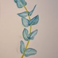 Kundenbild Aquarellfarbe Gansai Tambi - 24 Farben