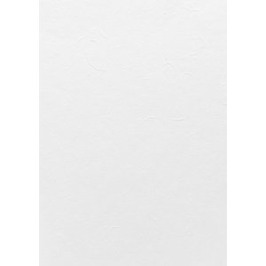 Maulbeerpapier 55x40 cm Maulbeerpapier 55x40 cm