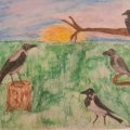 Kundenbild Aquarellstift Albrecht D�rer - 174 Chromgr�n deckend