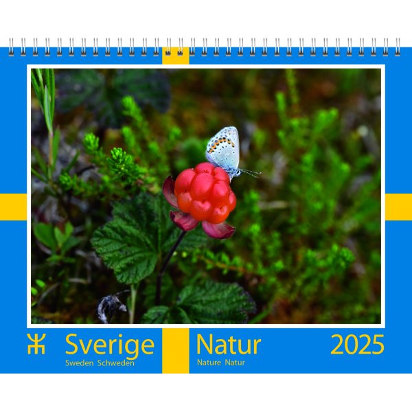 Wandkalender - Schweden - Almanacksfrlaget