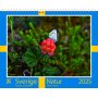 Wandkalender - Schweden - Almanacksfrlaget