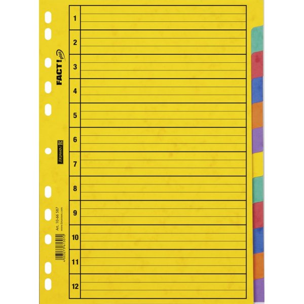 Register f�r Ringordner - A4-Hartfaserplatte - 12 Register