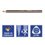 Noris Jumbo Bleistifte Pastell - 2 Bleistifte