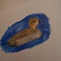 Kundenbild Aquarellstift Albrecht D�rer - 247 Indanthrenblau