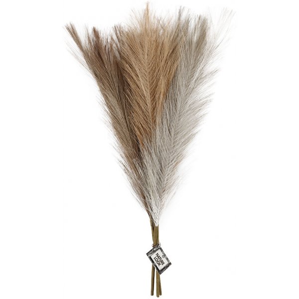 Pampasgras - Elfenbein - Hellbraun - Hellgrau - 3 Stk