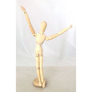 Holzmodell Socke Sapiensh 30cm Holzmodell Socke Sapiensh 30cm