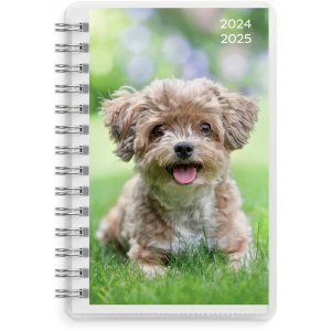 Kalender 24/25 Compact - Haustiere Kalender 24/25 Compact - Haustiere