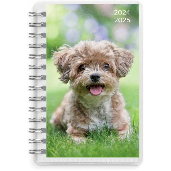 Kalender 24/25 Compact - Haustiere