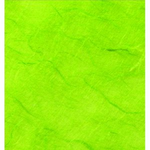 Papierstrohgewebe 0,70 x 1,50 m - Limette Papierstrohgewebe 0,70 x 1,50 m - Limette
