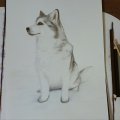 Kundenbild Aquarellblock, geklebte kaltgepresste Bögen, 300 g - A4