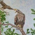 Kundenbild Acrylblock Hahnem�hle 330g - 30x40cm