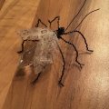 Kundenbild Draht auf Rolle 0,70 mm - gehärtet 100 g