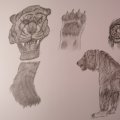 Kundenbild Radierstift Faber-Castell - Graphit