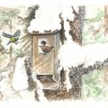 Kundenbild Aquarellpinsel Albrecht Dürer - 24 Stifte