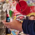 Kundenbild Dinosaurier gießen und bemalen