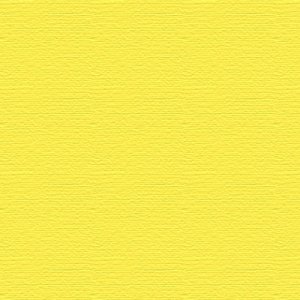 Elle Erre - Cedro Elle Erre - Cedro