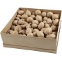 Eier - Pappmach - 140 Stk