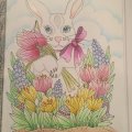 Kundenbild Buntstifte Polychromos - 60 Bleistifte