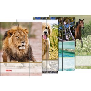 Ordner mit Gummiband - A4 - Tiere Ordner mit Gummiband - A4 - Tiere
