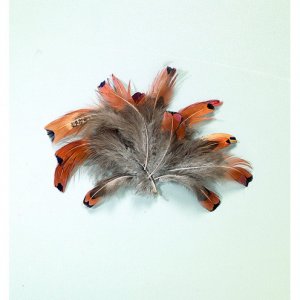 Fasanenfedern 10 cm - natur 2 g Fasanenfedern 10 cm - natur 2 g