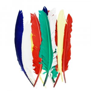 Indianerfedern 20 - 30 cm - mehrere Farben gemischt im 10er-Pack Indianerfedern 20 - 30 cm - mehrere Farben gemischt im 10er-Pack