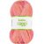 Bambus Raggi 100g Bambus Raggi 100g