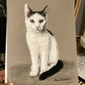 Kundenbild Pastellstift PITT - 101 White Med