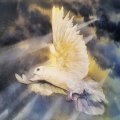 Kundenbild Aquarellblock Kaltgepresste B�gen 640g - 31x41 cm