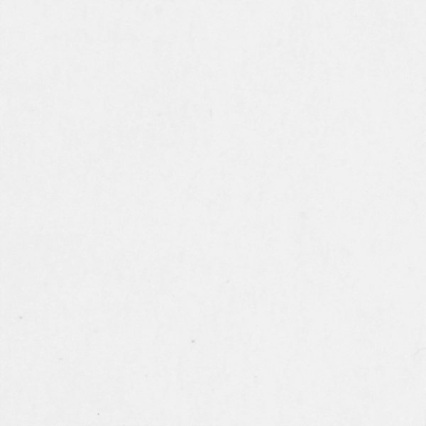 Etiketten aus stabilem Karton - 25 x 40 mm - weiß - 100 Stück Etiketten aus stabilem Karton - 25 x 40 mm - weiß - 100 Stück