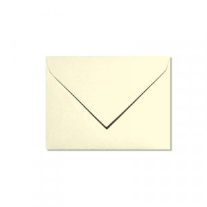 Pollen 75x100 - 20er-Pack - Creme Pollen 75x100 - 20er-Pack - Creme