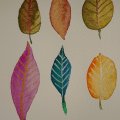 Kundenbild Aquarellfarbe W&N Cotman - Blaue Asche, 12 Farben