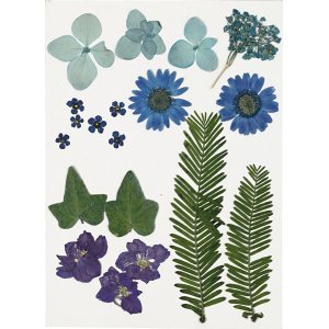 Getrocknete Blumen und Blätter - blau Getrocknete Blumen und Blätter - blau