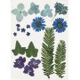 Getrocknete Blumen und Bltter - blau