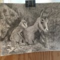 Kundenbild Kaugummi Faber kneten