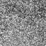 Bio-Glimmer - Silber - 10 g